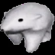 112 x 112 Twitch Emote Template