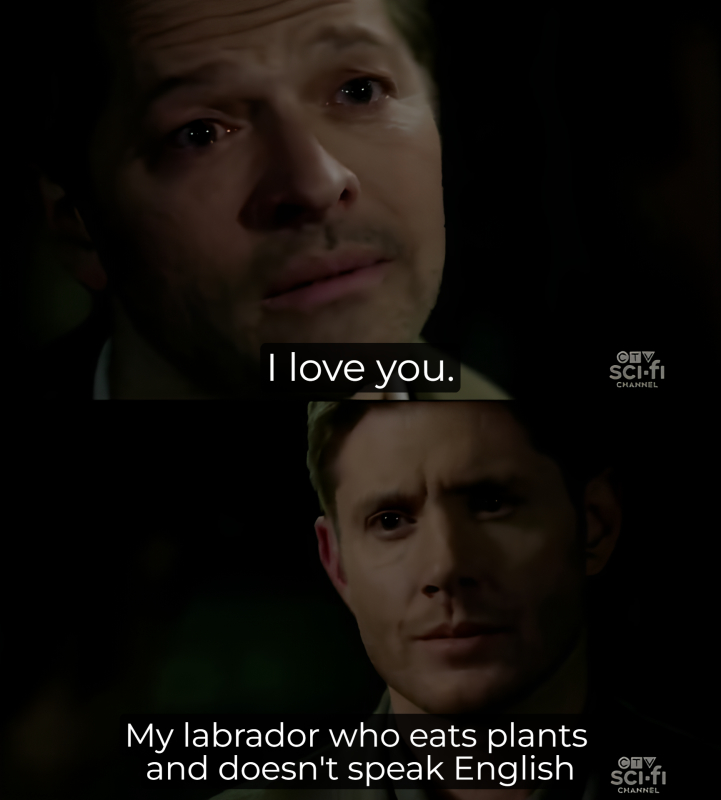 Destiel I Love You Confession Meme - Template