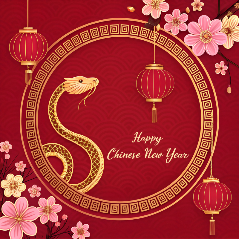 Elegant Chinese New Year Template