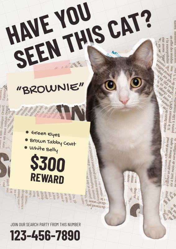 Lost Cat Poster Template with Reward and Torn Paper Accents