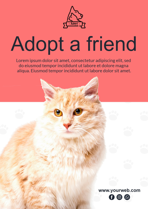 Modern Pet Adoption Flyer Template with Orange Cat and Paw Prints